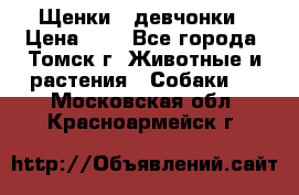 Щенки - девчонки › Цена ­ 2 - Все города, Томск г. Животные и растения » Собаки   . Московская обл.,Красноармейск г.